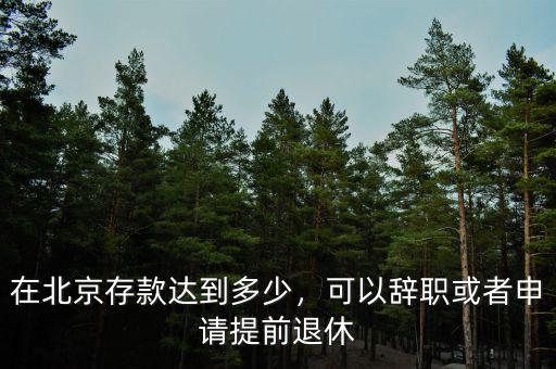 在北京存款達(dá)到多少，可以辭職或者申請(qǐng)?zhí)崆巴诵? class=