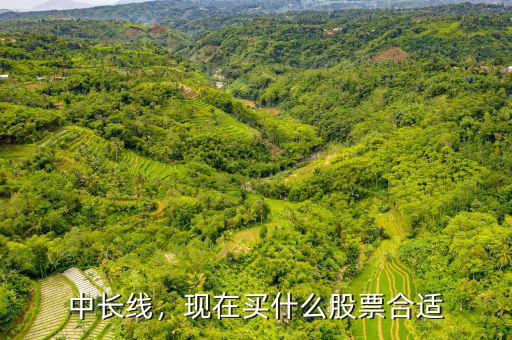 中長(zhǎng)線，現(xiàn)在買(mǎi)什么股票合適