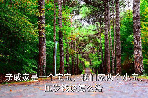 親戚家是一個寶寶，我們家兩個小寶，壓歲錢該怎么給