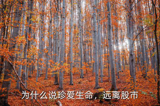 為什么說珍愛生命，遠(yuǎn)離股市