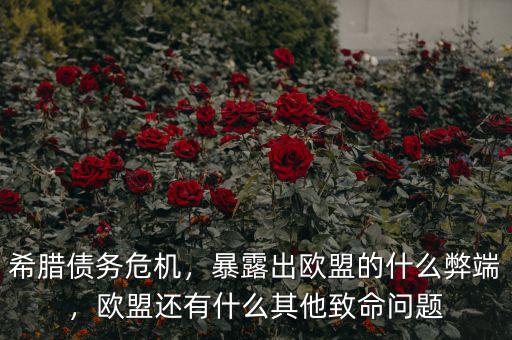 希臘債務(wù)危機(jī)，暴露出歐盟的什么弊端，歐盟還有什么其他致命問題