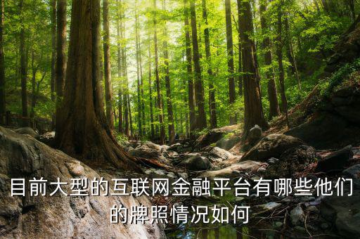 互聯(lián)網(wǎng)金融牌照是什么,他們的牌照情況如何