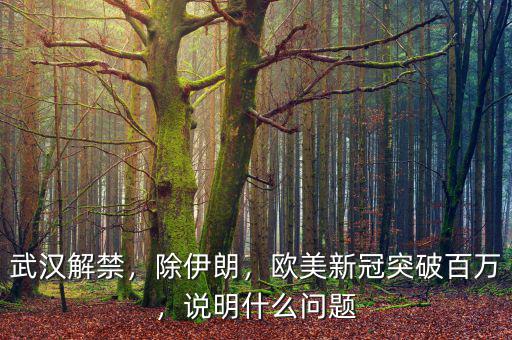 武漢解禁，除伊朗，歐美新冠突破百萬，說明什么問題