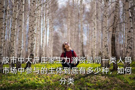 股市中大戶莊家主力游資是同一類人嗎市場(chǎng)中參與的主體到底有多少種，如何分類