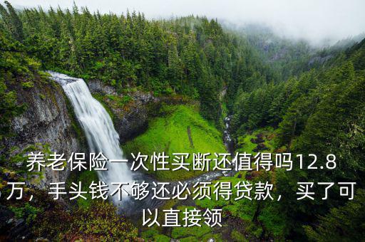 養(yǎng)老保險(xiǎn)一次性買斷還值得嗎12.8萬(wàn)，手頭錢不夠還必須得貸款，買了可以直接領(lǐng)
