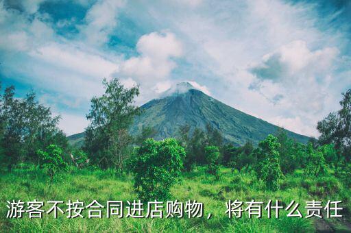 游客不按合同進店購物，將有什么責(zé)任