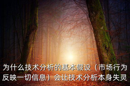 為什么技術(shù)分析的基本假設（市場行為反映一切信息）會讓技術(shù)分析本身失靈
