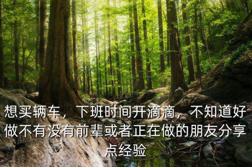 想買輛車，下班時(shí)間開滴滴，不知道好做不有沒有前輩或者正在做的朋友分享點(diǎn)經(jīng)驗(yàn)