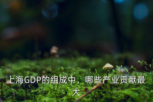 上海的重點產(chǎn)業(yè)是什么,上海GDP的組成中