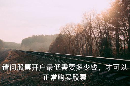 請問股票開戶最低需要多少錢，才可以正常購買股票