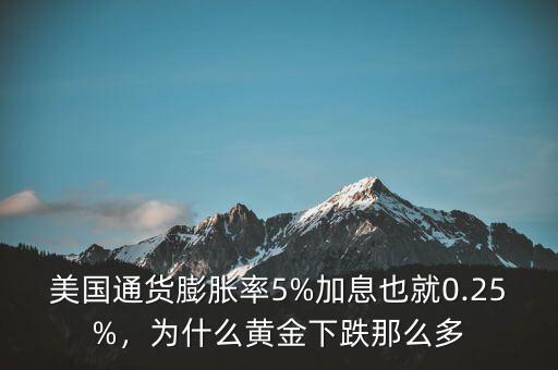 美國通貨膨脹率5%加息也就0.25%，為什么黃金下跌那么多