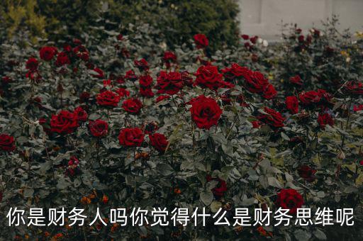 什么是會計思維,什么是財務(wù)思維