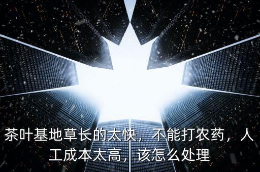 茶葉基地草長的太快，不能打農(nóng)藥，人工成本太高，該怎么處理