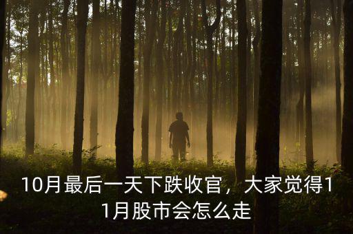 10月最后一天下跌收官，大家覺(jué)得11月股市會(huì)怎么走