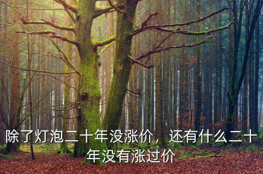 除了燈泡二十年沒漲價，還有什么二十年沒有漲過價
