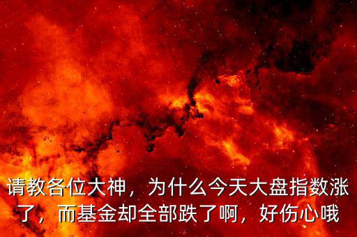 請教各位大神，為什么今天大盤指數(shù)漲了，而基金卻全部跌了啊，好傷心哦