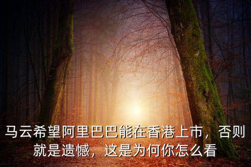馬云希望阿里巴巴能在香港上市，否則就是遺憾，這是為何你怎么看