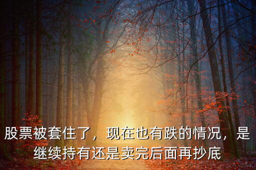 股票被套住了，現(xiàn)在也有跌的情況，是繼續(xù)持有還是賣(mài)完后面再抄底
