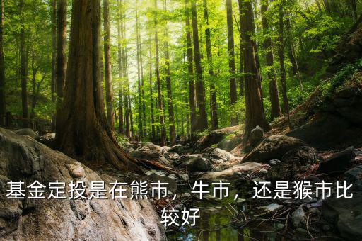 基金定投是在熊市，牛市，還是猴市比較好