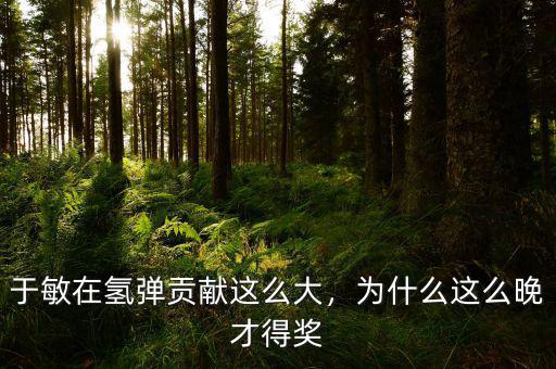 于敏在氫彈貢獻這么大，為什么這么晚才得獎