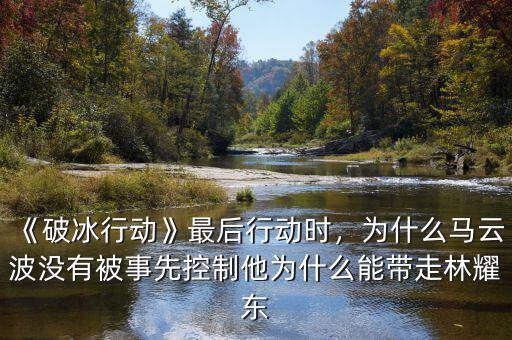《破冰行動》最后行動時，為什么馬云波沒有被事先控制他為什么能帶走林耀東