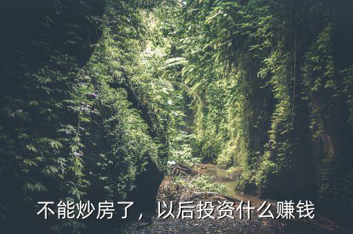 炒房之后炒什么,以后投資什么賺錢