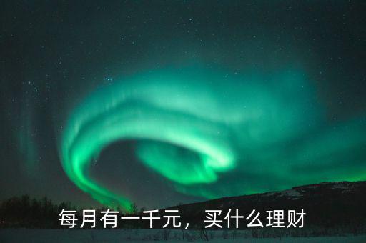 每月有一千元，買什么理財(cái)