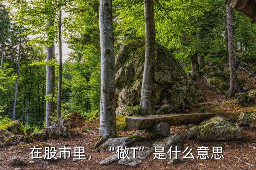 在股市里，“做T”是什么意思