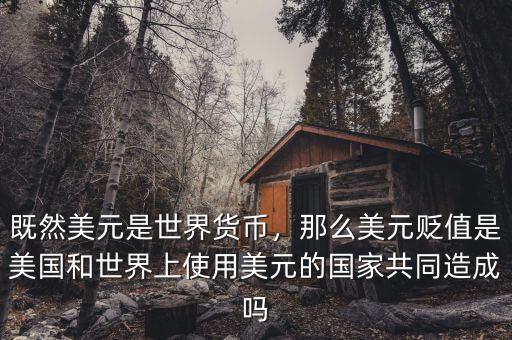 既然美元是世界貨幣，那么美元貶值是美國和世界上使用美元的國家共同造成嗎
