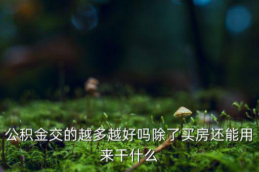 公積金交的越多越好嗎除了買房還能用來(lái)干什么