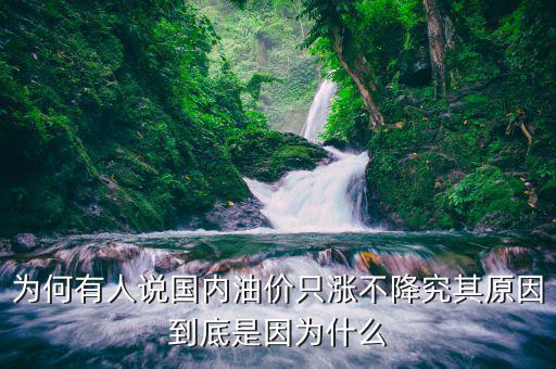 為什么中國(guó)油價(jià)不降,為何有人說(shuō)國(guó)內(nèi)油價(jià)只漲不降