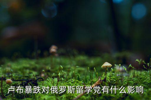 盧布暴跌對俄羅斯留學黨有什么影響