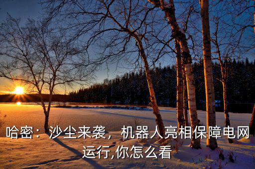 哈密：沙塵來襲，機器人亮相保障電網(wǎng)運行,你怎么看