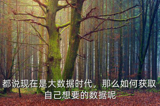 大數(shù)據(jù)怎么獲得,都說(shuō)現(xiàn)在是大數(shù)據(jù)時(shí)代
