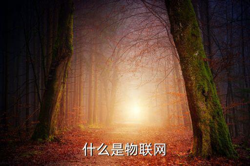 什么叫物聯網基金,物聯網技術到底是什么技術