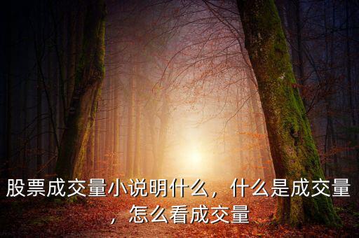 股票成交量小說明什么，什么是成交量，怎么看成交量