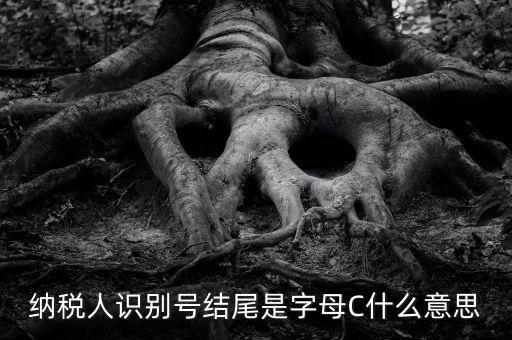 c級納稅人是什么意思，納稅人識別號結尾是字母C什么意思