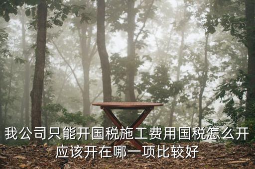我公司只能開國稅施工費(fèi)用國稅怎么開應(yīng)該開在哪一項比較好
