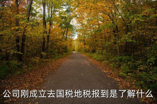 公司剛成立去國(guó)稅地稅報(bào)到是了解什么