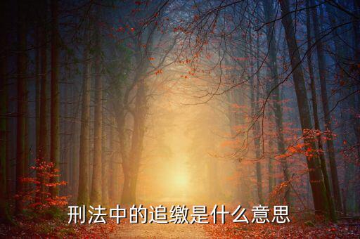 為什么 追繳期限，信用卡還款期限已過多久才追繳