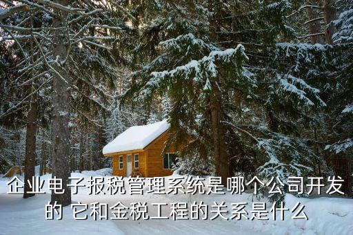 什么是網(wǎng)稅系統(tǒng)，企業(yè)電子報(bào)稅管理系統(tǒng)是哪個(gè)公司開發(fā)的 它和金稅工程的關(guān)系是什么