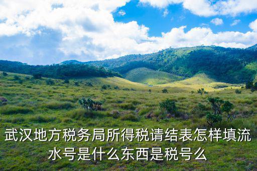地稅流水號是什么，納稅人流水號是什么