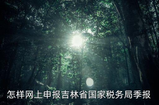 吉林省用什么報(bào)稅系統(tǒng)，吉林省的報(bào)稅系統(tǒng)如何使用