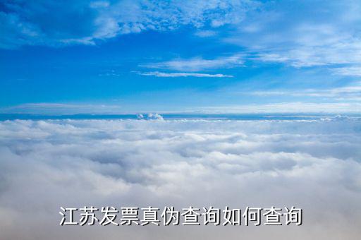 江蘇南通發(fā)票查詢進(jìn)什么網(wǎng)站，江蘇增值稅普通發(fā)票在網(wǎng)上可以去哪里查詢