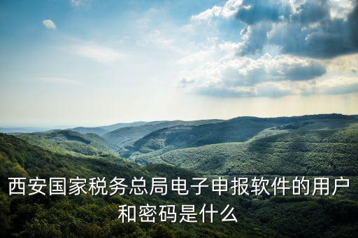 陜西省國家稅務(wù)局賬號(hào)是什么，你好我想問你 一下 網(wǎng)上國稅的用戶名和密碼是什么