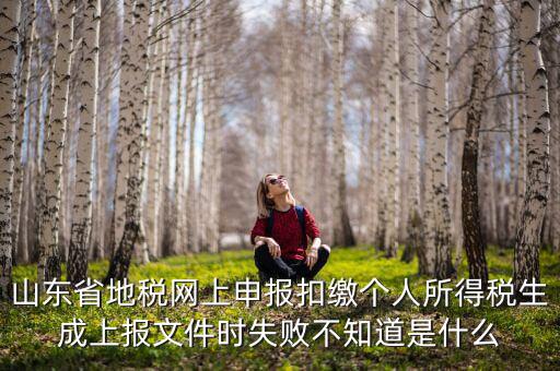 山東地稅網(wǎng)為什么沒(méi)法報(bào)稅，山東地稅網(wǎng)上申報(bào)系統(tǒng)網(wǎng)頁(yè)無(wú)法訪問(wèn)是什么原因