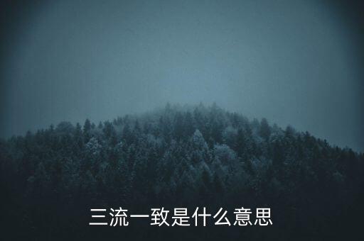 發(fā)票 流向一致是什么意思，發(fā)票四流一致是哪四流