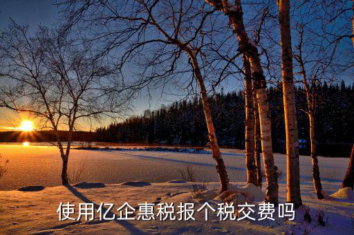 深圳億企惠稅報什么稅，稅友億企惠稅是用來申報地稅還是國稅