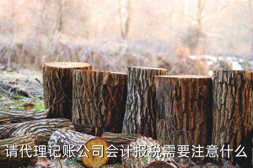 給純地稅做賬注意什么，繳的地稅怎么做帳
