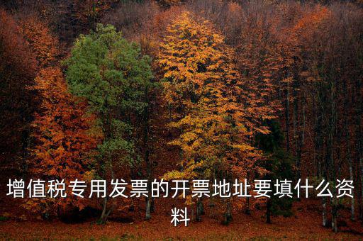 增值稅專用發(fā)票的開(kāi)票地址要填什么資料